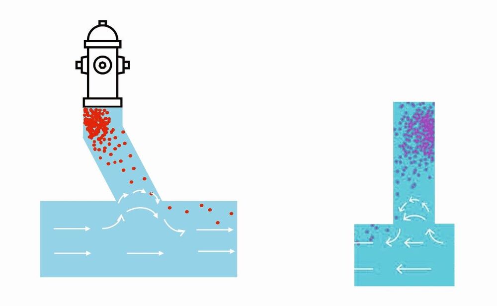 Abb.1: Die Zuleitungen zu den Hydranten bilden eine Stagnationszone, die sich im Sommer auf 25 bis 30 °C erwärmt und eventuell zur Vermehrung von Umweltpathogenen wie Pseudomonas aeruginosa, Legionellen und Mykobakterien führen kann. Die Zubringerleitung zum Hydranten ist gegenüber der Hauptleitung offen und im Austausch. Dadurch kann die Leitung stetig Umweltpathogene in tiefer Konzentration an das vorbeifliessende Wasser abgeben, das dann in die Haushalte gelangt.